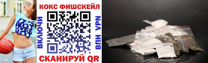 Купить закладки  Кудымкар  Кокаин Fish Scale 