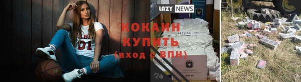 стаф Горняк