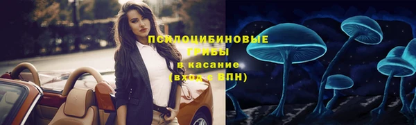 гидра Горнозаводск
