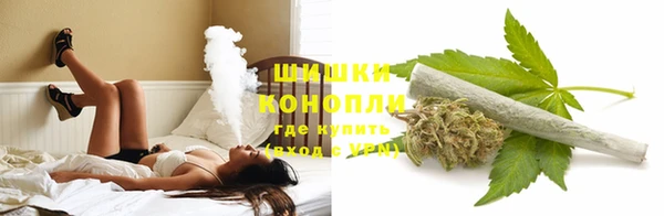гидра Горнозаводск
