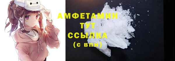 стаф Горняк