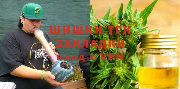стаф Горняк