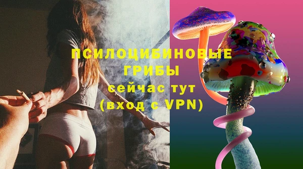 ALPHA PVP Вяземский