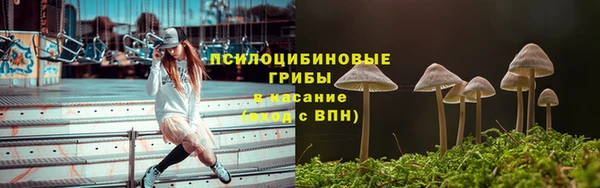 стаф Горняк